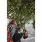 DeWALT DCMPS567N zaru zāģis